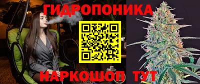 a pvp Кулебаки