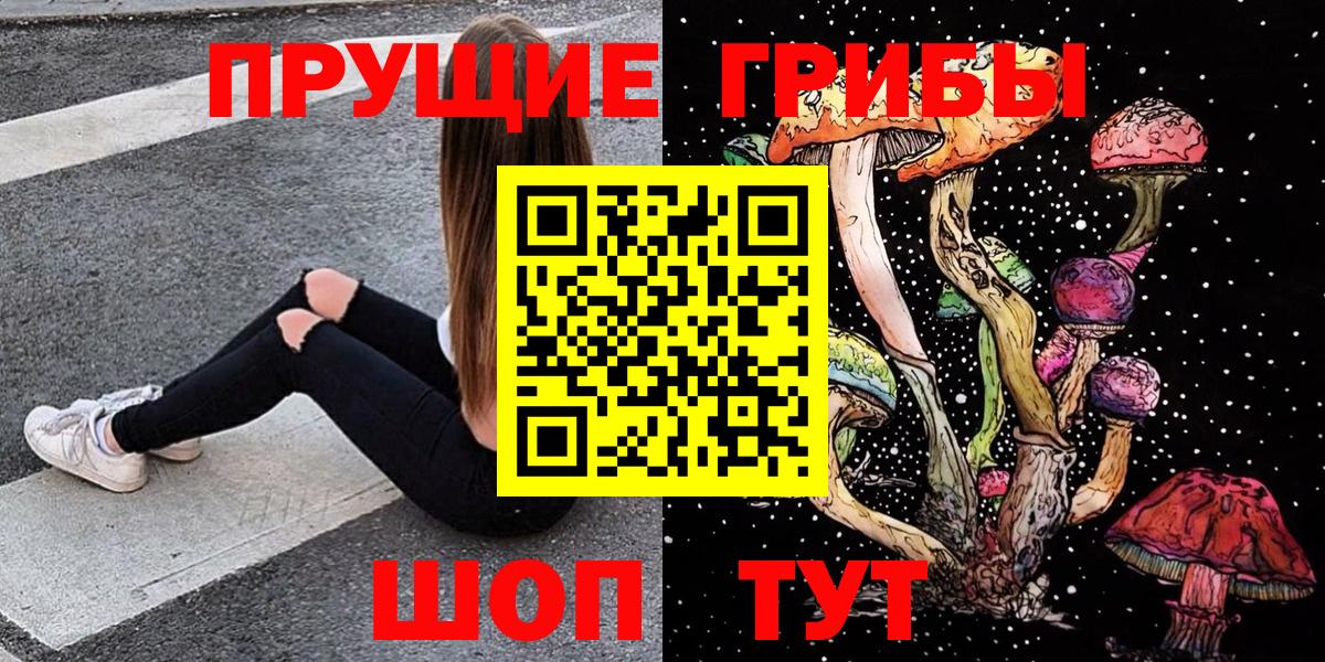 Псилоцибиновые грибы Cubensis Зима