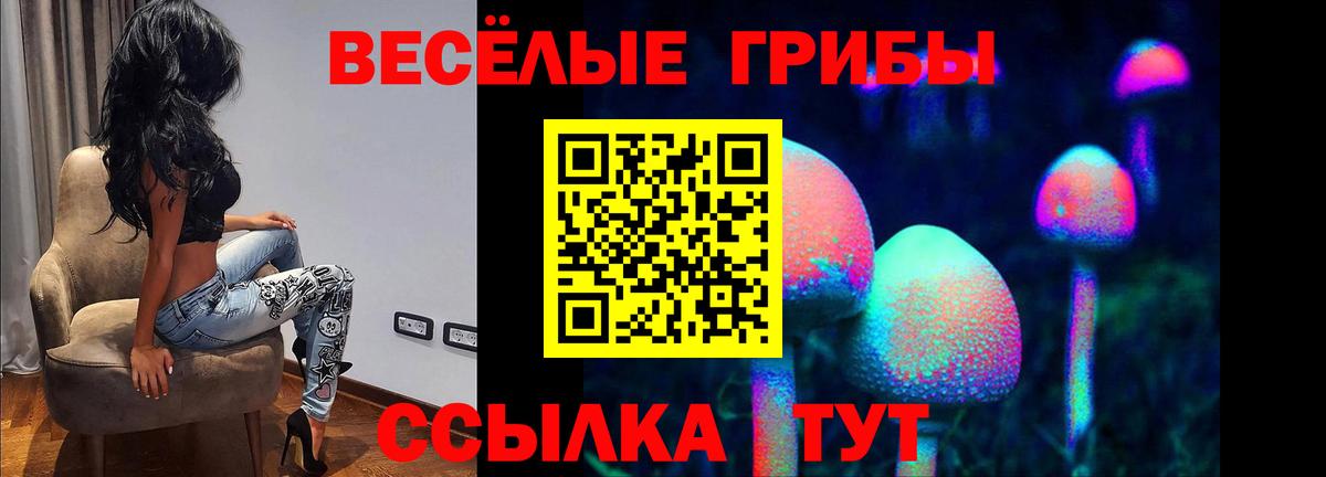 Зима  Галлюциногенные грибы ЛСД  Вход с VPN 